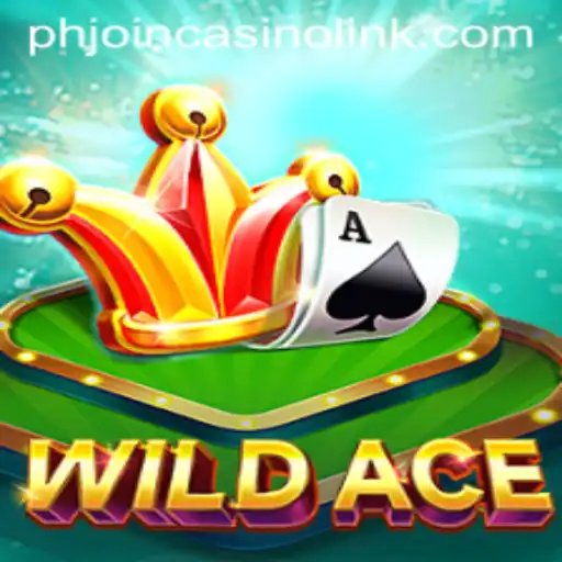 Enter the Thrilling World of WildAce: A Premier Casino Experience